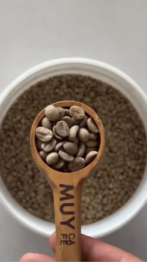 Muy Café